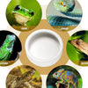 Cuenco de Cerámica Antifuga para Reptiles