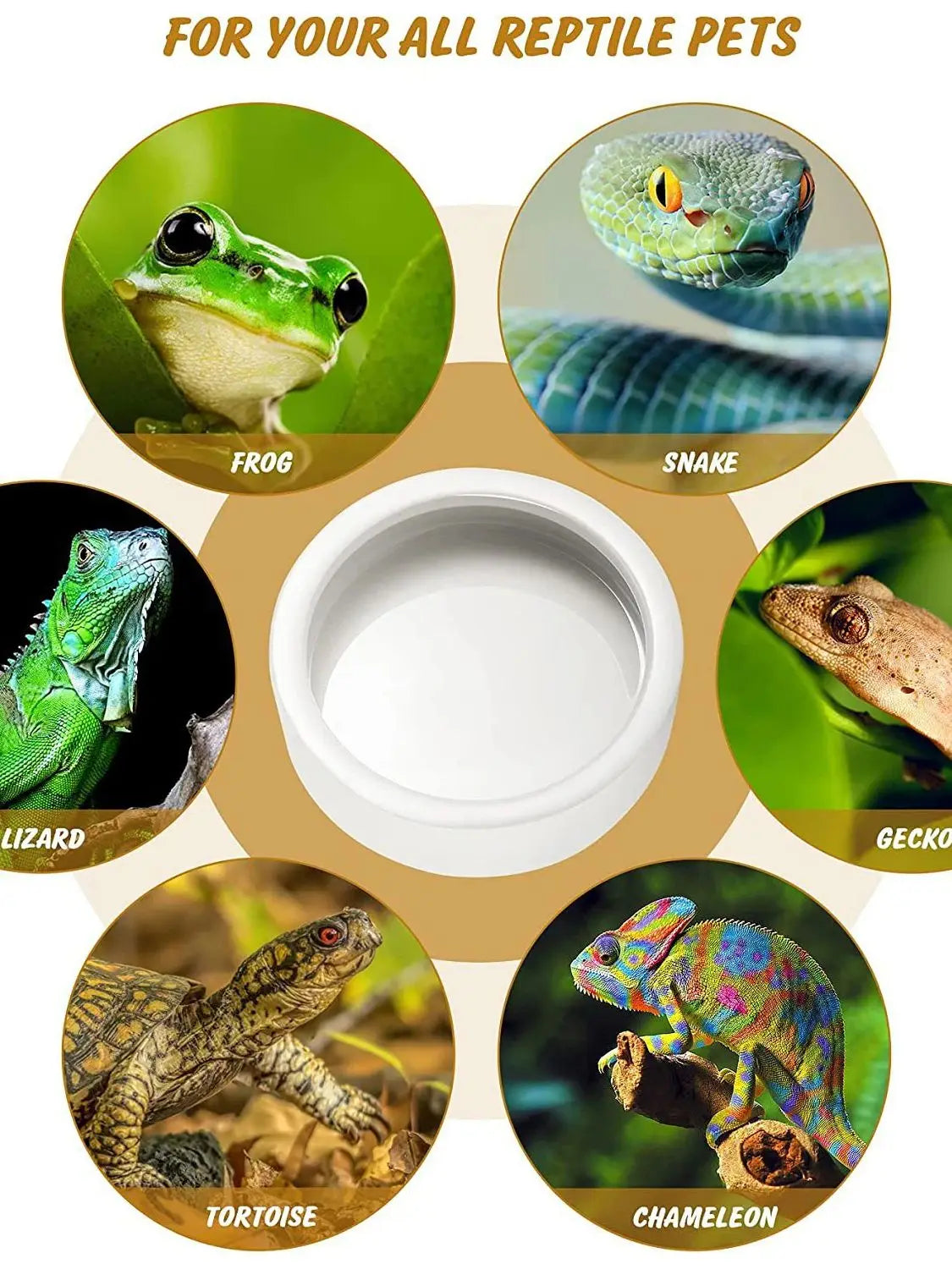 A collection of reptile feeding bowls featuring a frog, snake, lizard, gecko, tortoise, and chameleon.
