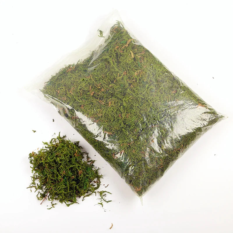 A square plastic bag filled with green artificial moss for crafts and decor.