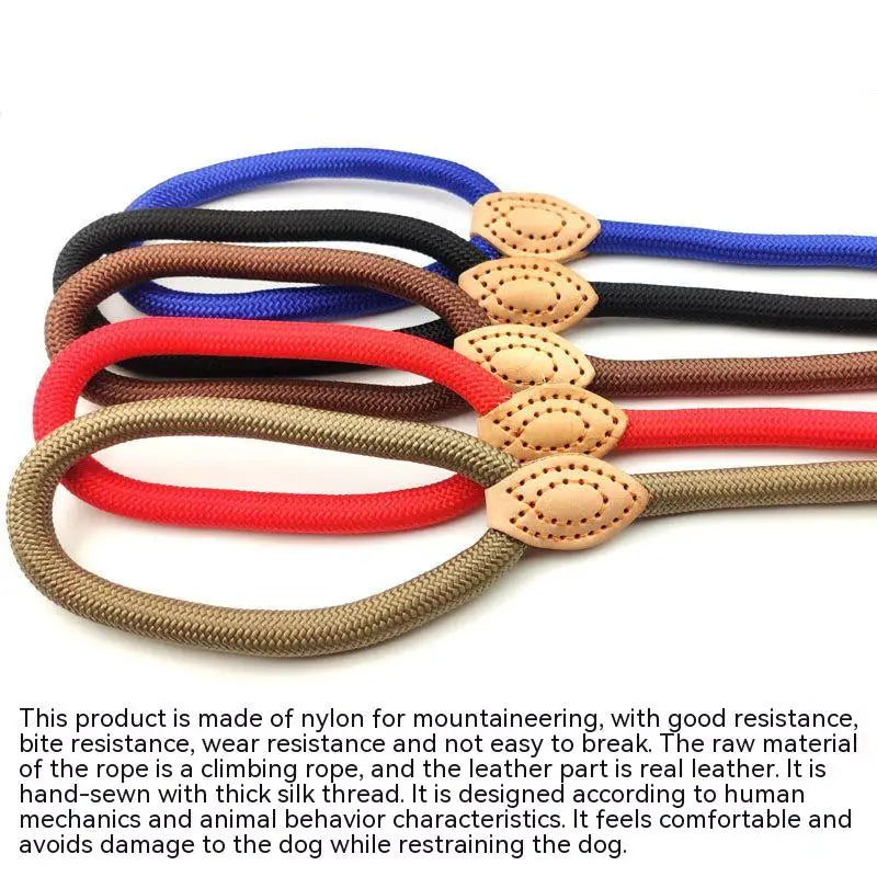 Verstellbare Nylon-Hundeleine mit Geschirr