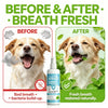 Before and after comparison showing a dog's breath before and after using a Qifenge pet breath freshener spray