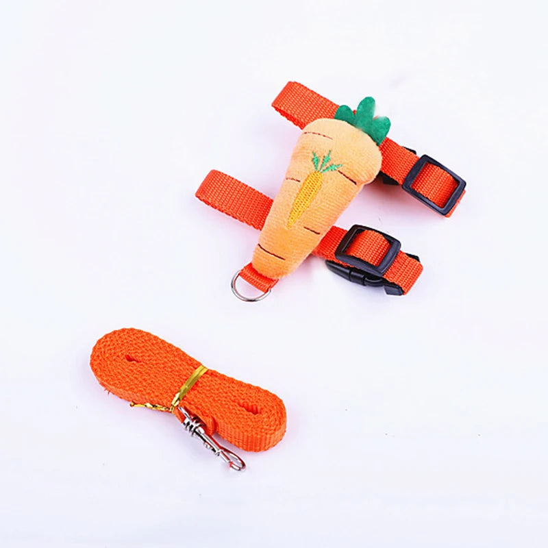 An orange carrot shaped harness and leash set for a small animal pet walking gear