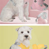 Atmungsaktives reflektierendes Hundegeschirr & Leinen-Set