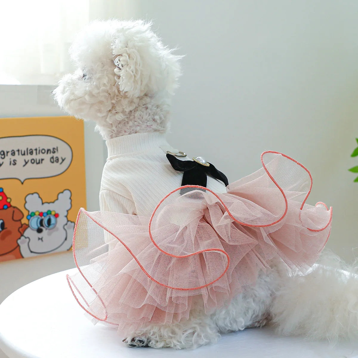 Tutu Princess Dog Dress with Lace Trim