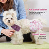 A fluffy white dog wearing a pink elastic waist diaper, demonstrating a fur-safe fastener and elastic waist fit.