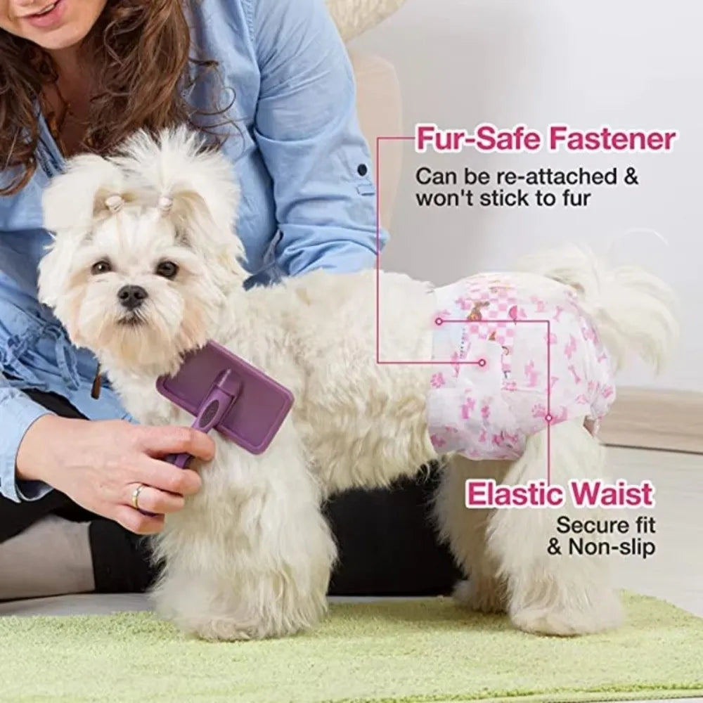 A fluffy white dog wearing a pink elastic waist diaper, demonstrating a fur-safe fastener and elastic waist fit.