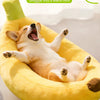 Un chien heureux se repose dans un lit de peluche en forme de banane jaune.