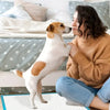 Extra-Strength Disposable Dog Training Pads with Leak-Proof Protection