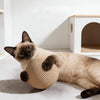 A light brown cat is lying down and playing with a natural sisal scratching ball.
