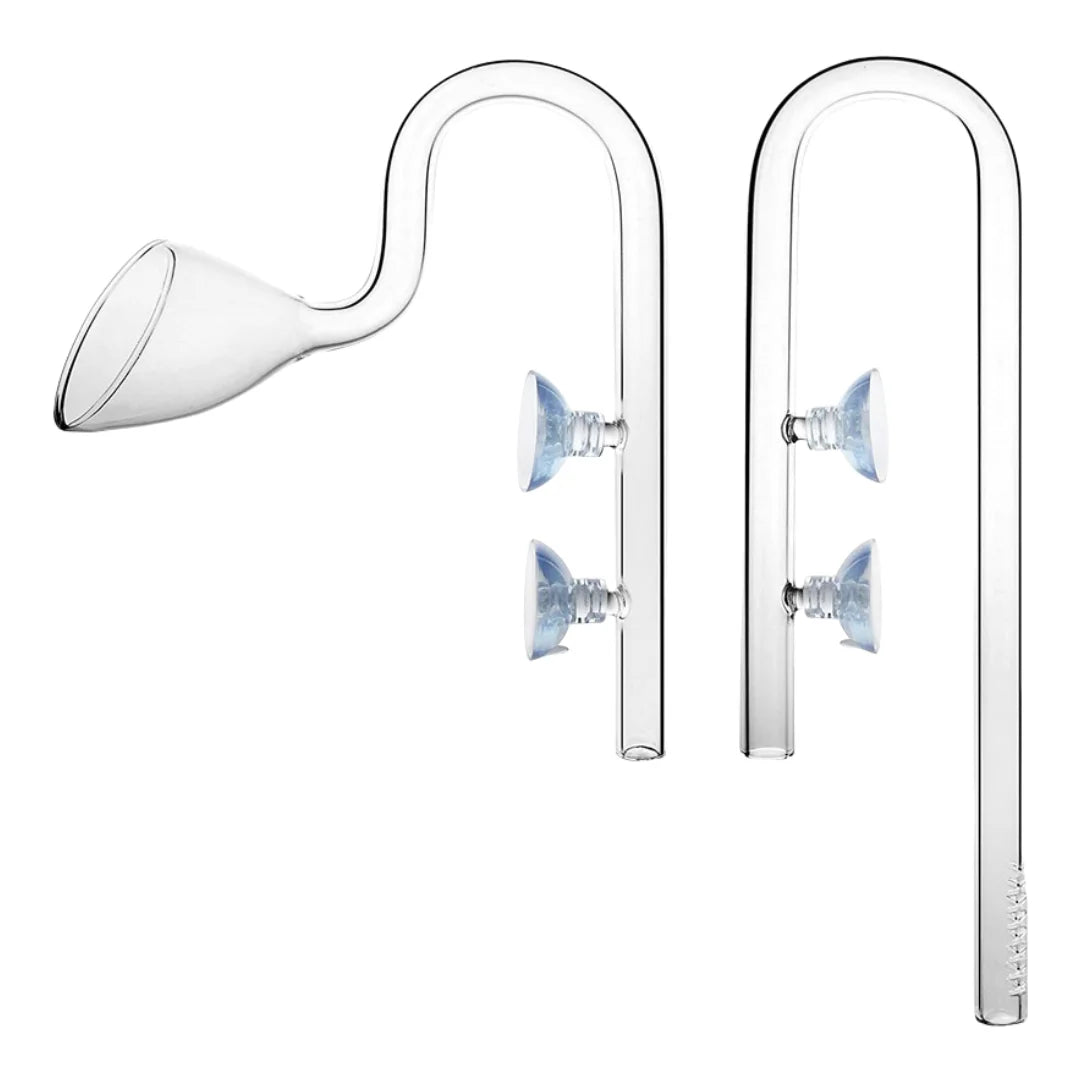 Clear borosilicate glass lily pipe with a curved neck and long tube for planted aquariums