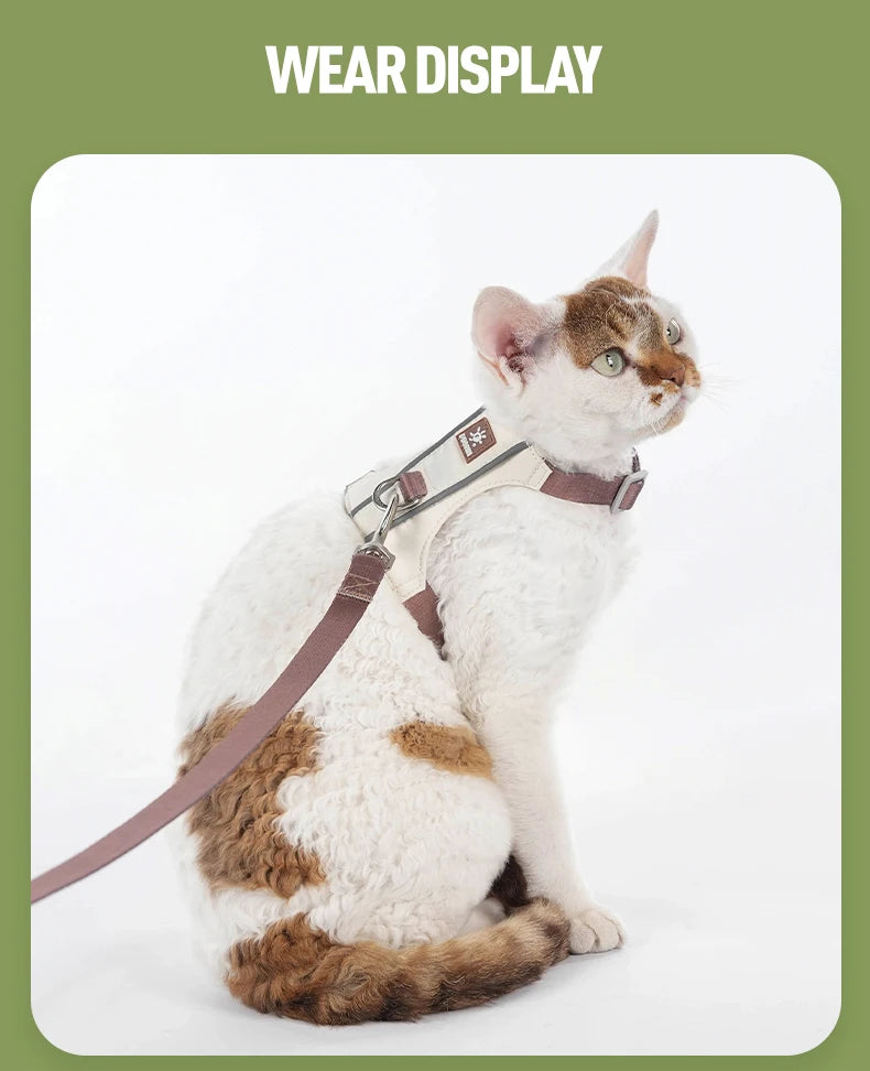 A tabby cat wearing a brown harness and leash set for display.