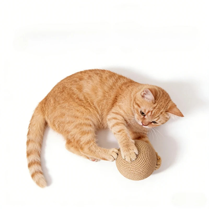 An orange tabby cat is sitting next to a natural sisal scratching ball.