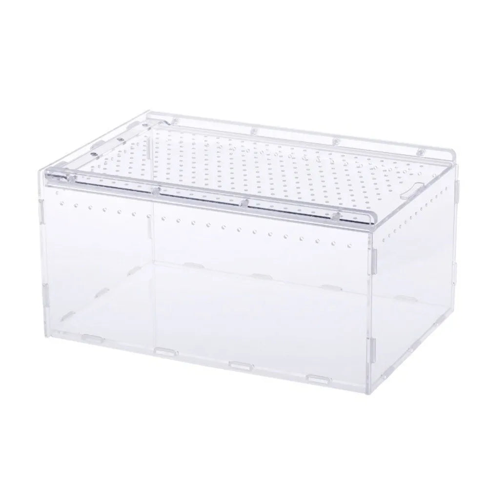 Acrylic Reptile Terrarium with Ventilation and Anti-Escape Lid