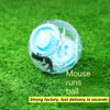 Clear Hamster Exercise Ball for Small and Medium Hamsters