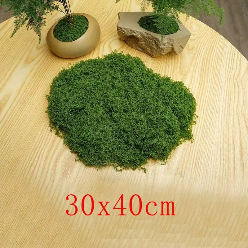 Natural Green Preserved Moss for DIY Crafts and Decor