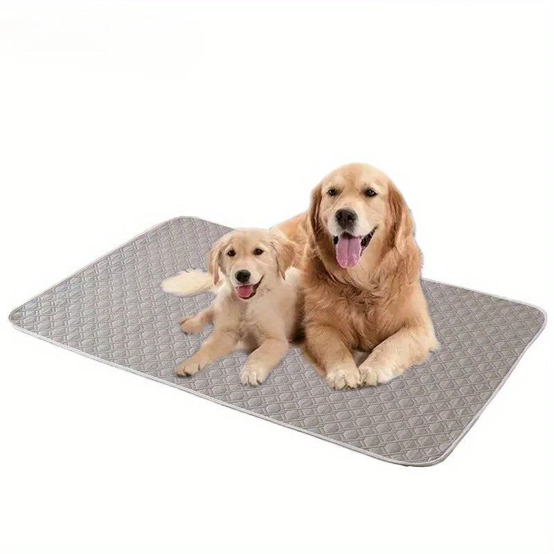 Reusable Pet Training Mat for Dogs