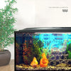 Aquarium Methylblau-Behandlungslösung