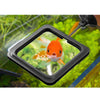 Aquarium Feeding Ring - Square or Round, Prevent Floating