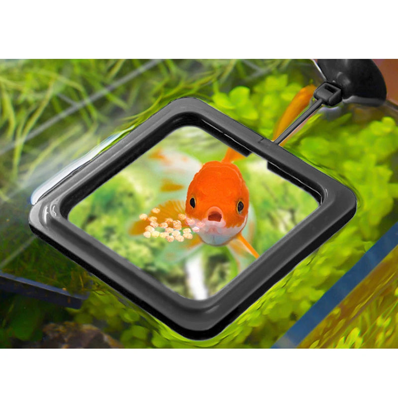 Aquarium Feeding Ring - Square or Round, Prevent Floating