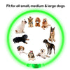 USB Rechargeable Luminous Collar for Dogs and Cats
