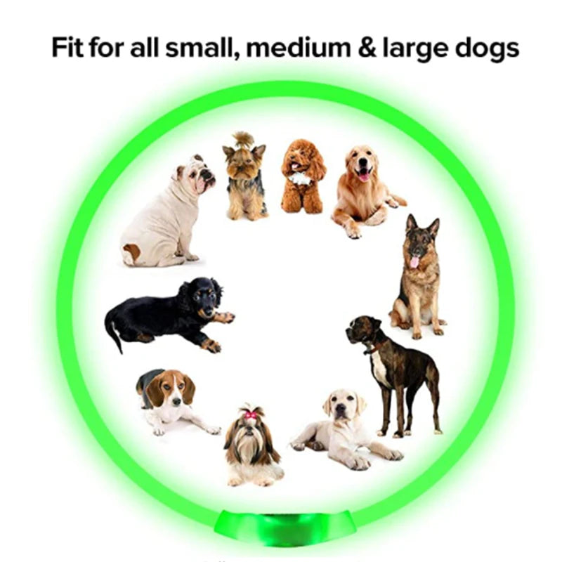 USB Rechargeable Luminous Collar for Dogs and Cats