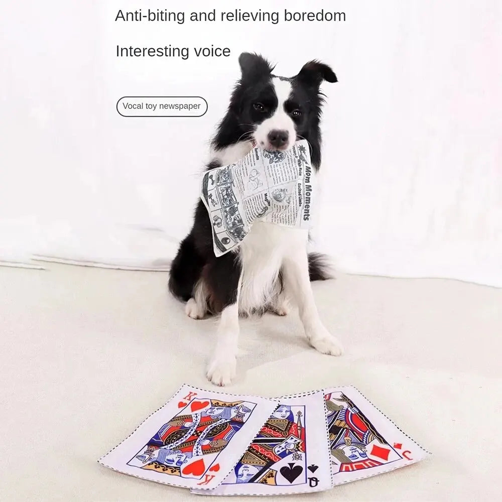 A black and white dog holding a tear-resistant squeaky newspaper toy.