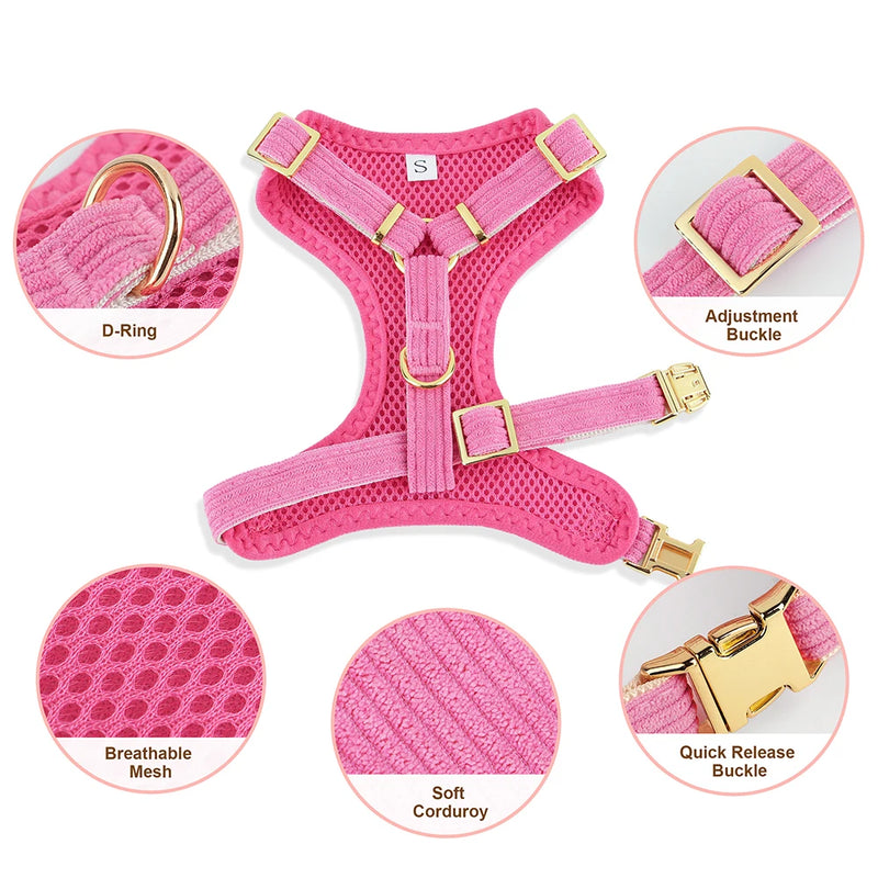 3-Piece Dog Collar Harness Leash Set with Bowknot