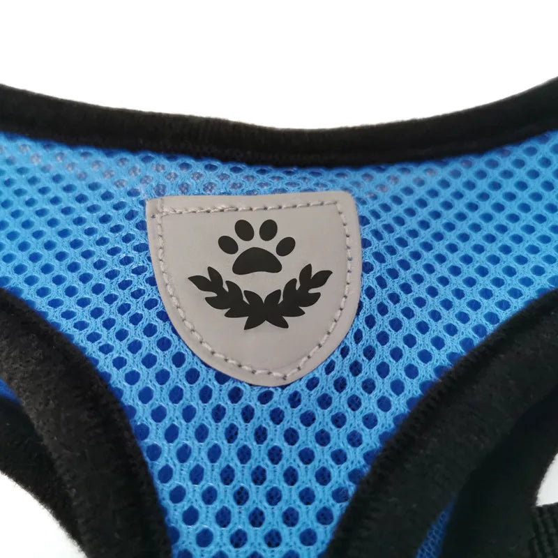 Adjustable Breathable Mesh Dog & Cat Harness with Leash