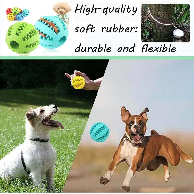Balle interactive distributeur de friandises pour chien