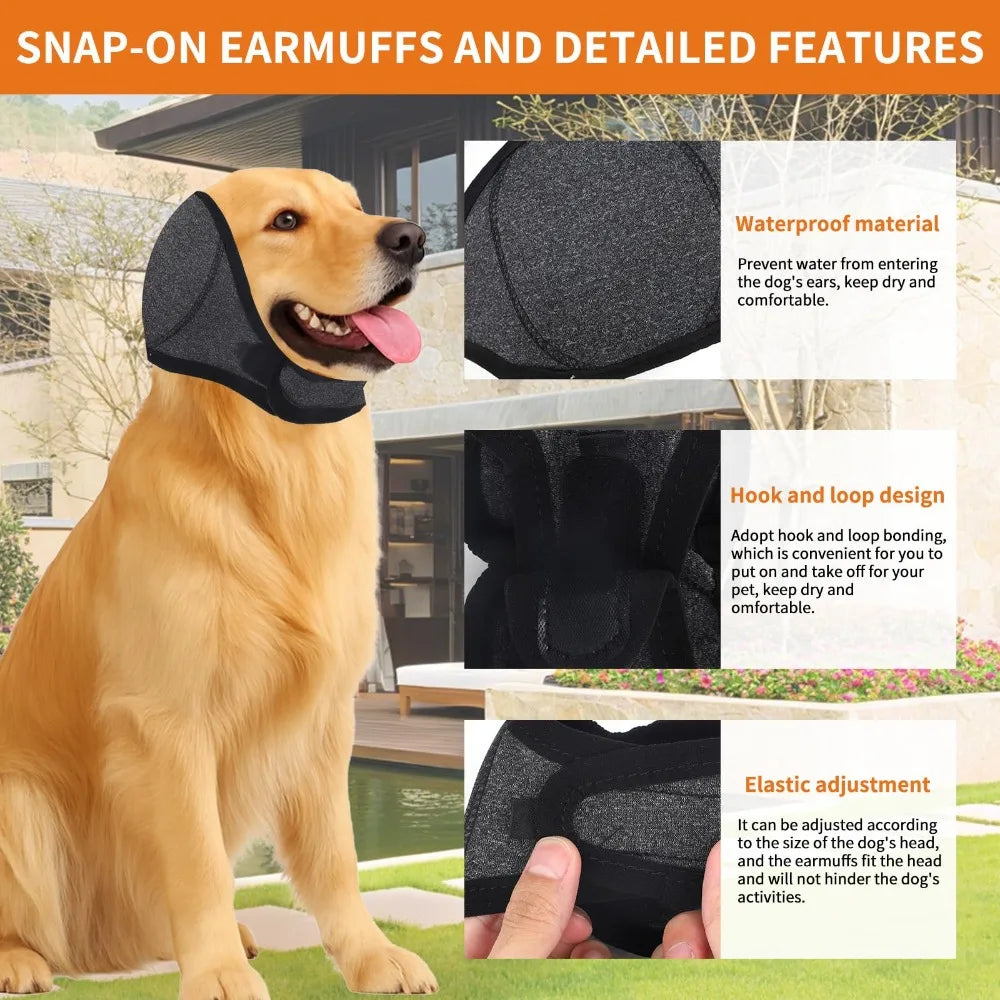 A golden retriever wearing a black waterproof ear muff for dogs, highlighting features like hook and loop design and elastic 