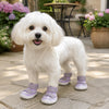 Breathable Anti-Slip Dog Shoes with Adjustable Straps