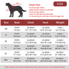 Adjustable Dog Life Jacket with Rescue Handle and High Buoyancy