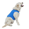 Evaporative Cooling Vest for Dogs – Lightweight & Breathable