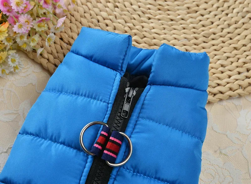 Windproof Padded Dog Coat for Small Breeds