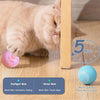 Intelligenter Smart-Ball für Hunde mit zufälliger Bewegung