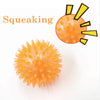 Squeaky Rubber Dog Ball Toy