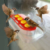 Refillable Hummingbird Feeder with Window Suction Cups