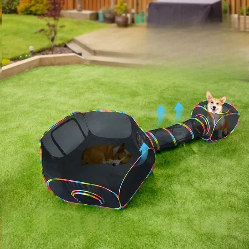 A small dog is playing with a black, multi-shaped cat tunnel playhouse filled with colorful balls on green grass.