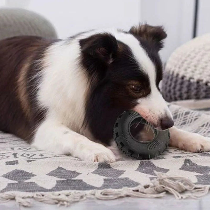Durable Rubber Chew Toy for Large & Medium Dogs