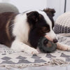 Durable Rubber Chew Toy for Large & Medium Dogs