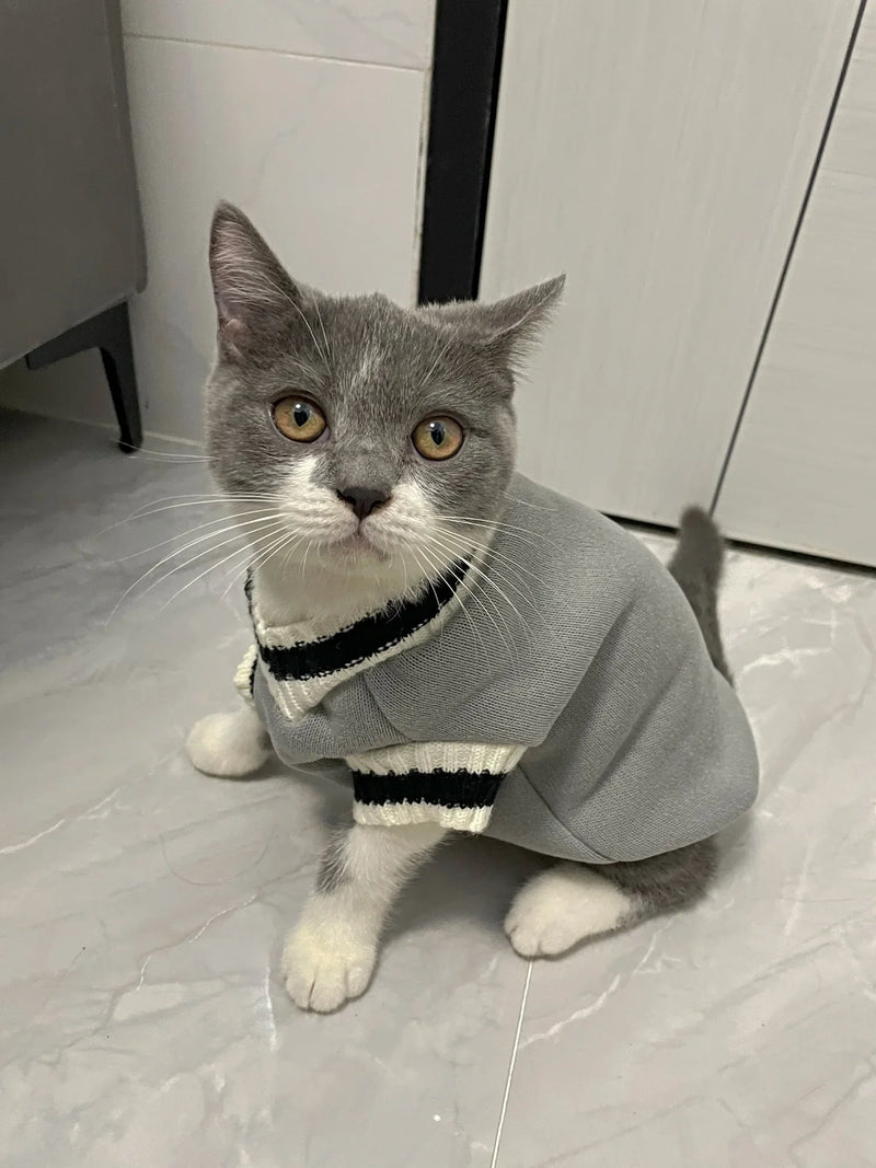 Suéter de Punto Acogedor para Mascotas