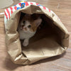 Jeu Puzzle en Papier Interactif pour Chiens et Chats