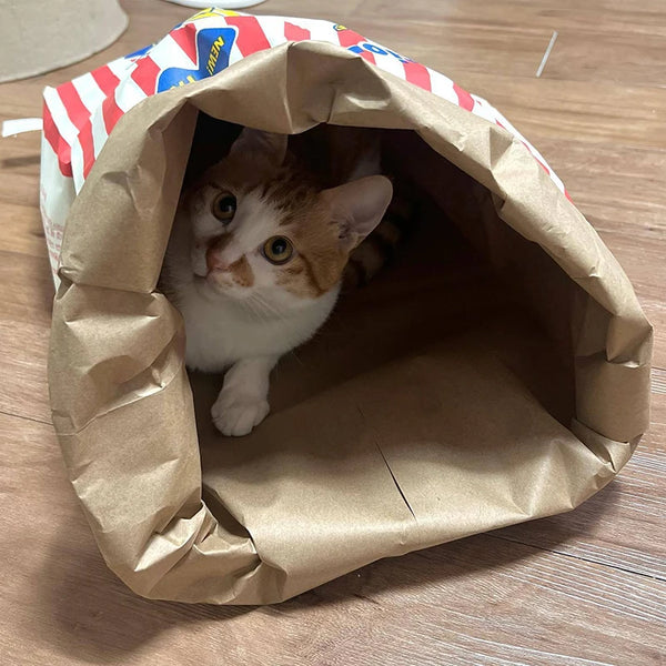 A small orange and white kitten peeks out of an opened brown paper puzzle toy for pets.