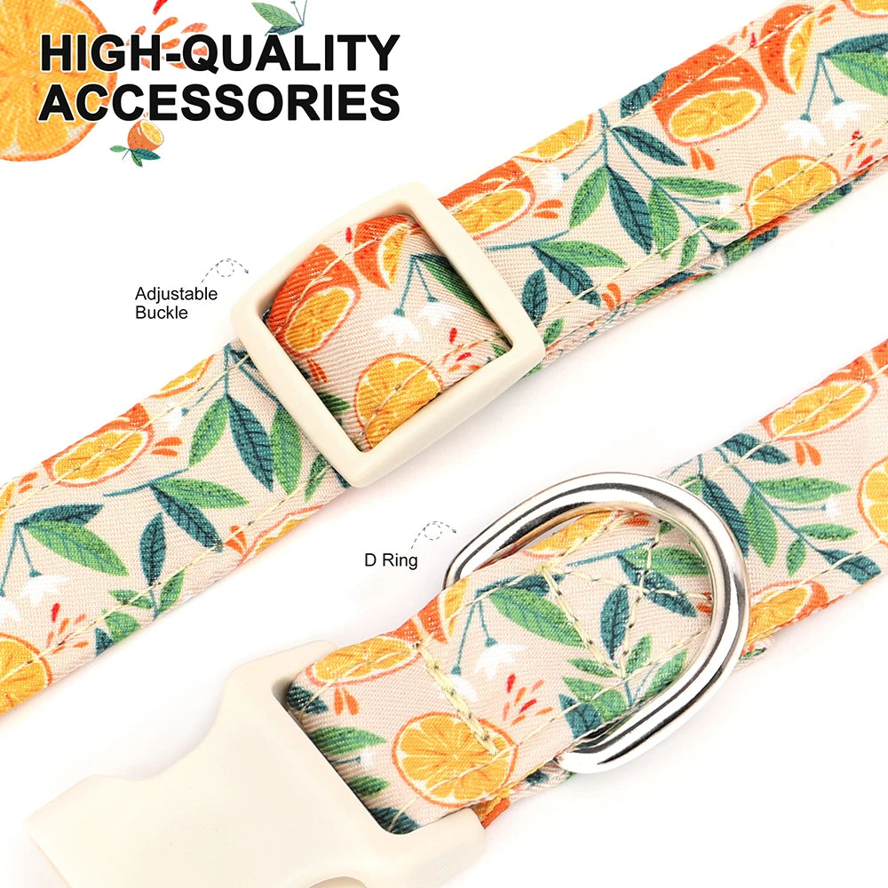A close-up of a beige nylon dog collar with an adjustable buckle and D ring, featuring a bee and flower print.