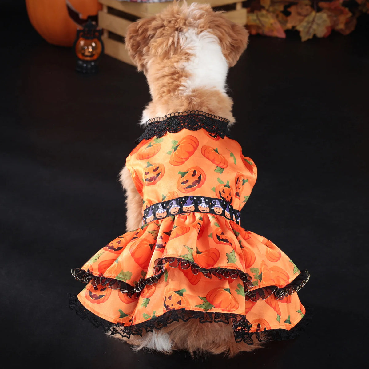 Pumpkin Lace Dog Dress for Small Dogs