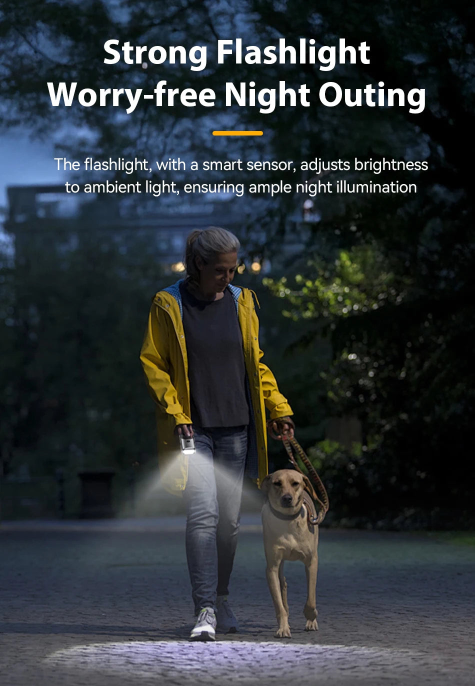Eine Person geht mit einem Hund in der Dunkelheit und benutzt eine Taschenlampe für die Nacht.