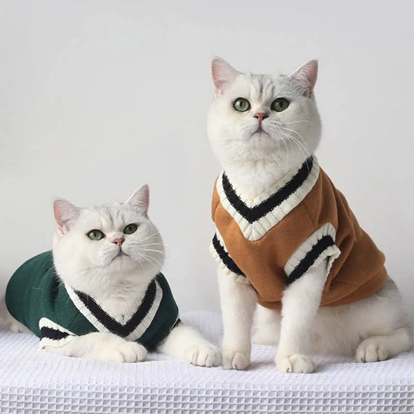 A white cat wearing a brown and black striped cozy cotton pullover sweater, sitting on a white textured surface.