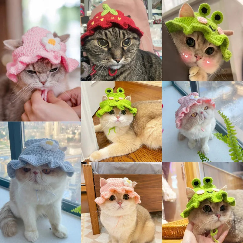 Collection de chapeaux en tricot mignons pour chats, portés dans diverses poses et couleurs.