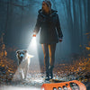 Paw-Shaped Ultrasonic Dog Repeller with Adjustable Frequency Levels and LED Flashlight