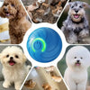 A blue interactive pet ball is surrounded by various dogs and cats.
